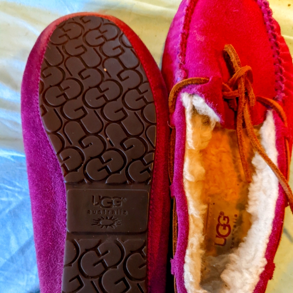 Magenta ugg slippers